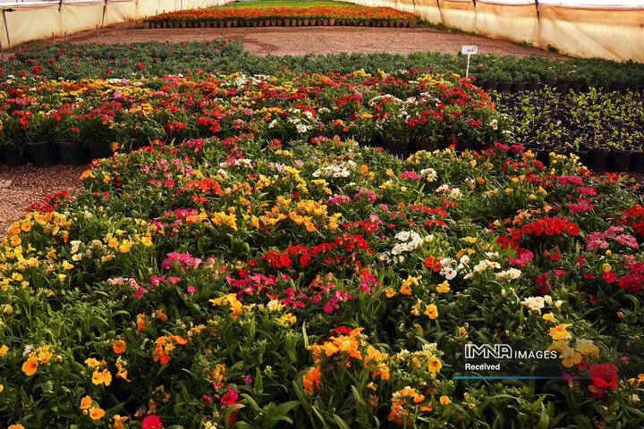 بازدید شهردار از گلخانه سازمان پارک‌ها و فضای سبز شهرداری