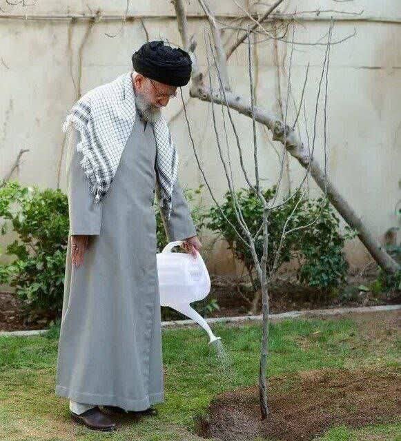 «به یاد رهبر شهیدم»؛ درختان سبزی که میرویند از خون شهادت