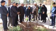 کاشت ۵ هزار اصله درخت به نیابت از رهبر شهید و شهدای دانش‌آموز در کرمان
