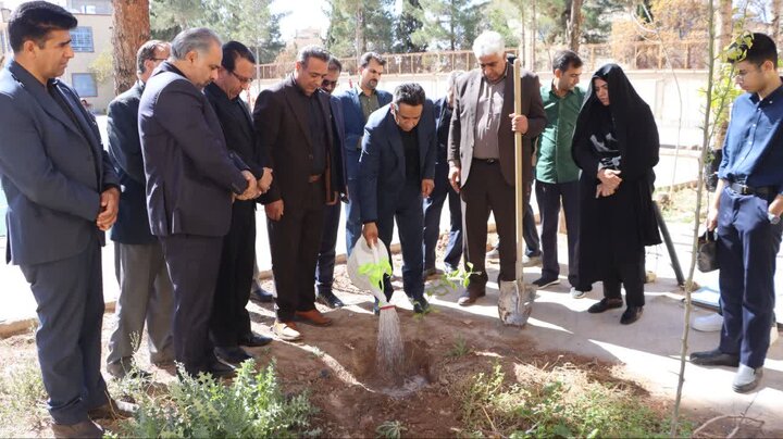 کاشت ۵ هزار اصله درخت به نیابت از رهبر شهید و شهدای دانش‌آموز در کرمان