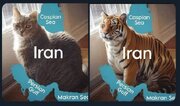 از گربه‌ای نجیب تا ببری غران؛ پاسخی کوبنده به توهم تغییر نقشه ایران