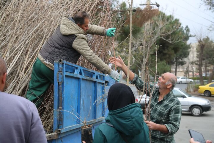 آغاز ثبت‌نام رایگان برای کاشت نهال در منازل مسکونی کرج