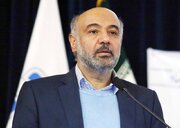 وزیر تعاون: مشکل تامین مالی برای مشاغل خانگی نداریم