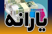 یارانه ویژه مادران از فروردین شارژ می‌شود