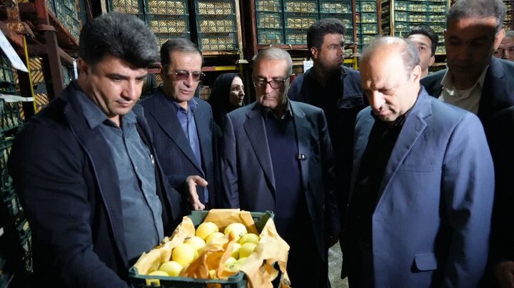 آغاز توزیع ۲۷۵ تن میوه شب عید در کهگیلویه و بویراحمد