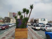 آغاز کاشت گل‌ها و نهال‌های زینتی تازه در اراک