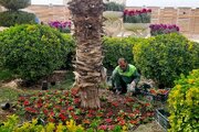 کاشت ۲۰۰ هزار گلدان گل در منطقه ۹ اصفهان