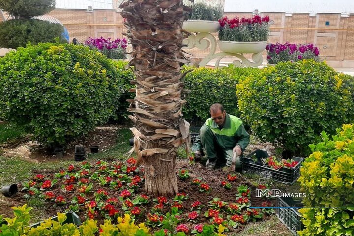 کاشت ۲۰۰ هزار گلدان گل در منطقه ۹ اصفهان