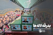 بدرقه لاله ها
