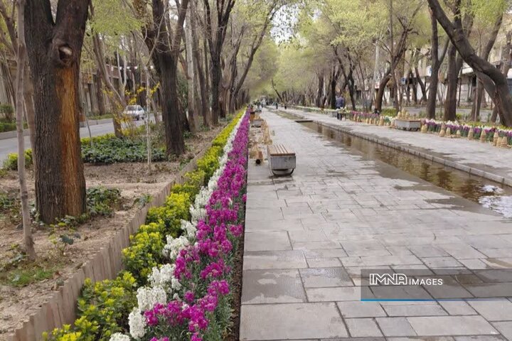 کاشت ۶۵ هزار گلدان شب‌بو در چهارباغ عباسی اصفهان