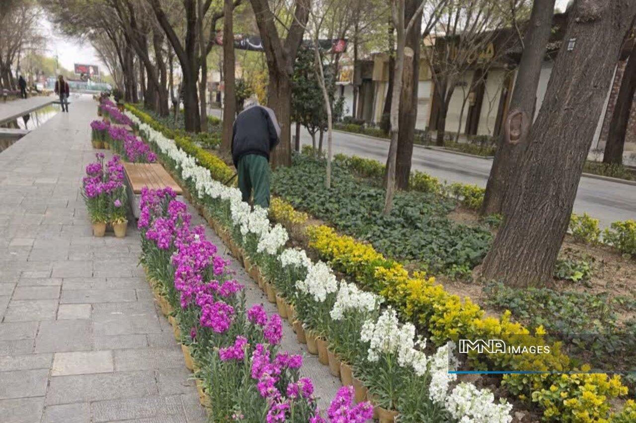 کاشت ۶۵ هزار گلدان شب‌بو در چهار باع عباسی اصفهان