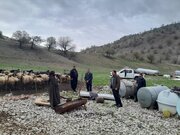 آبرسانی سیار به عشایر ایلام با ۳۳ تانکر