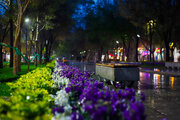 صدور هشدار زرد هواشناسی برای خراسان شمالی