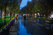 طراوت باران بهاری در چهارباغ اصفهان