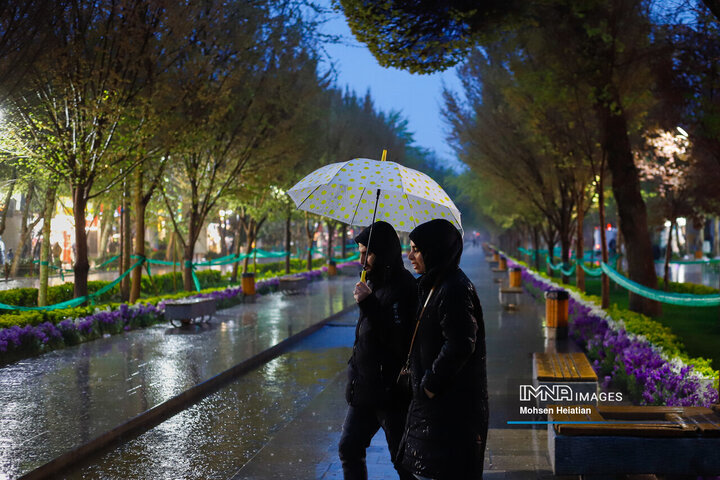 طراوت باران بهاری در چهارباغ اصفهان