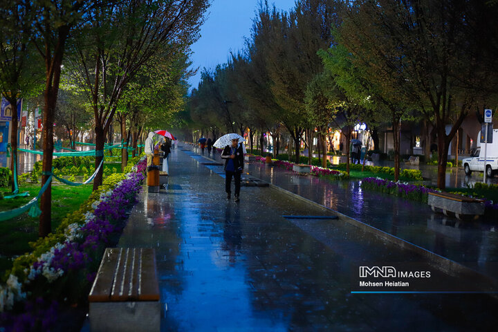 طراوت باران بهاری در چهارباغ اصفهان