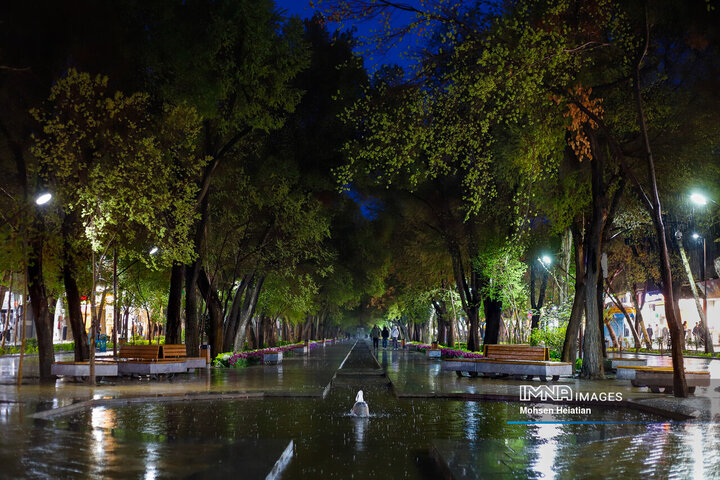 طراوت باران بهاری در چهارباغ اصفهان