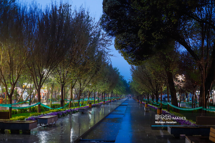 طراوت باران بهاری در چهارباغ اصفهان