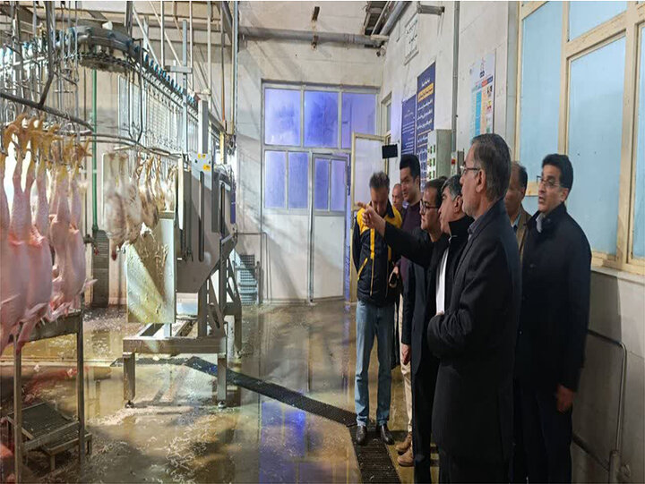 هم‌افزایی تولیدکنندگان و نهادهای نظارتی آرامش بازار فارس را حفظ کرد