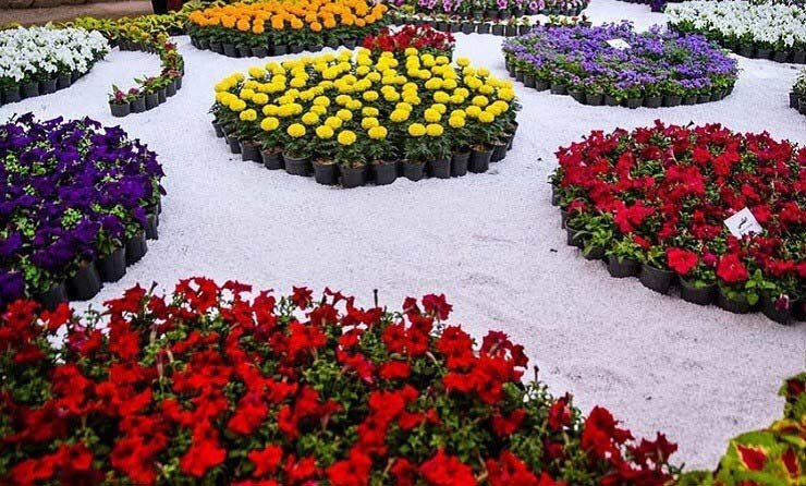 نَفس محلات به گلهایش بند است