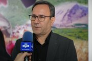 لرستان پیشتاز تولید قراردادی مرغ؛ سهم ۳۰ درصدی از جوجه‌ریزی کشور