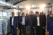 هزار دشت سینا سالانه ۱۰ هزار تن رب گوجه فرنگی و برای ۱۵۰ نفر اشتغال مستقیم ایجاد کرده است