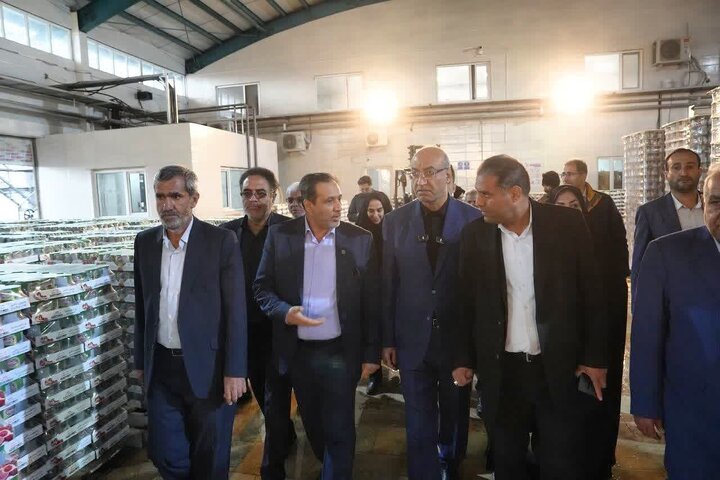 هزار دشت سینا سالانه ۱۰ هزار تن رب گوجه فرنگی و برای ۱۵۰ نفر اشتغال مستقیم ایجاد کرده است