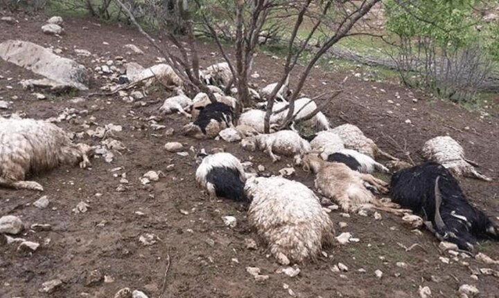 زیرساخت‌های عشایری فارس در محاصره سیلاب