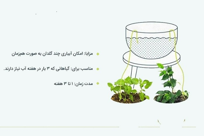 بهترین روش آبیاری گیاهان وقتی در خانه نیستیم / با خیال راحت به سفر بروید