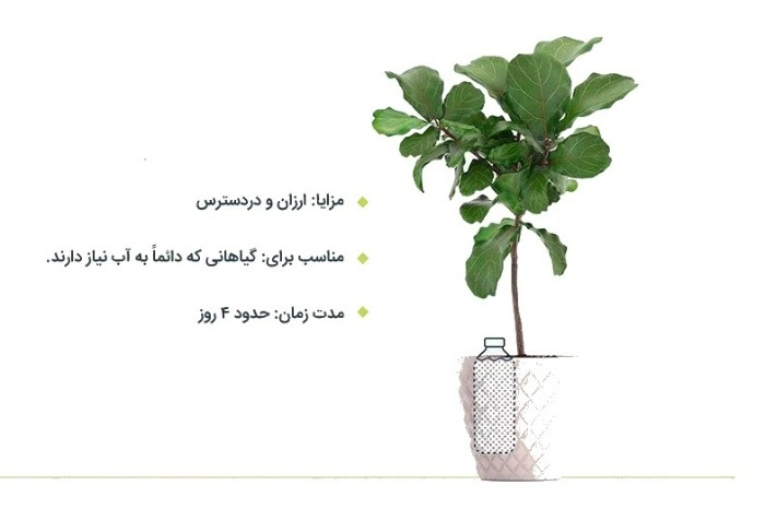 بهترین روش آبیاری گیاهان وقتی در خانه نیستیم /  با خیال راحت به سفر بروید