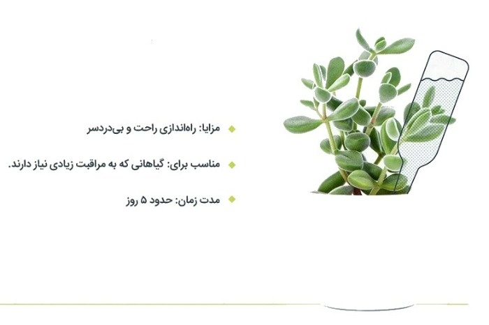 بهترین روش آبیاری گیاهان وقتی در خانه نیستیم / با خیال راحت به سفر بروید