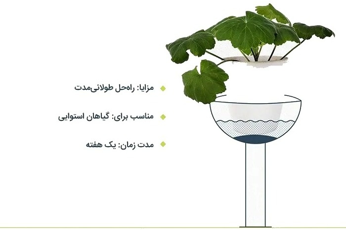 بهترین روش آبیاری گیاهان وقتی در خانه نیستیم /  با خیال راحت به سفر بروید