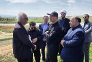 سالانه حدود ۲۰ هزار تن آبزی در استان تولید می‌شود