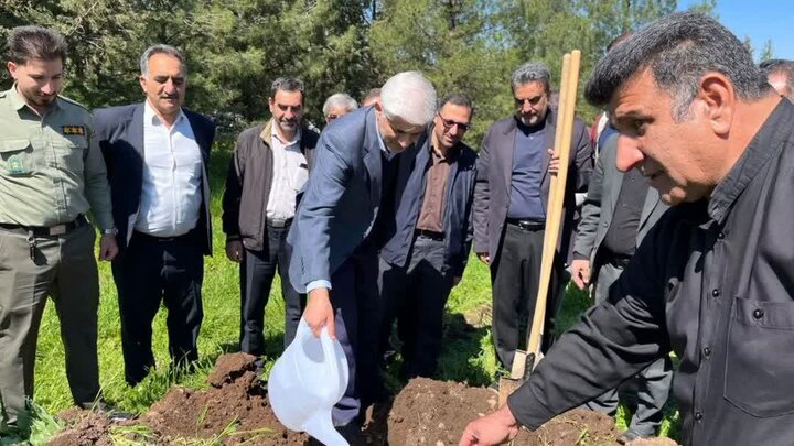 آغاز پویش کاشت ۳۰ میلیون نهال در لرستان/ تأکید بر تداوم راه شهدا در اقدام ملی درختکاری