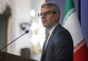 بقائی: برای صیانت از حقوق و منافع ایران از همه ظرفیت‌ها استفاده می‌کنیم