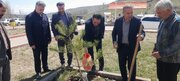 پویش کاشت نهال به یاد شهدای والامقام تا اواخر فروردین ادامه خواهد داشت‌