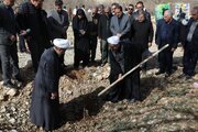 ایلام یکی از استان‌های دارای ظرفیت بالا در تولید نهال است