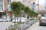 گل‌کاری گسترده در میدان‌ها و خیابان‌های شهر اردبیل