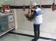 معدوم‌سازی بیش از ۱۰ هزار کیلوگرم فراورده خام دامی غیربهداشتی در مازندران