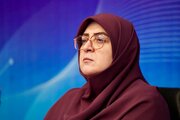 مهاجرانی: مردم از خرید هیجانی ارز پرهیز کنند/دولت به شدت نسبت به افزایش قیمت‌ها حساس است