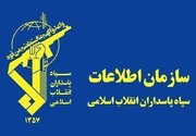 انهدام چهار هسته تروریست‌های تکفیری در جنوب‌شرق ایران