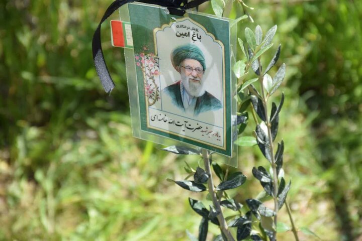 ۷.۵ میلیون نهال در لرستان کاشته می‌شود