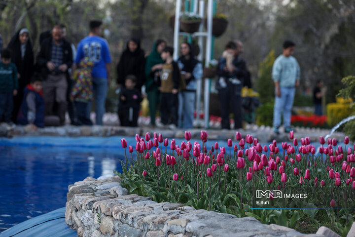 جشنواره گل‌های لاله اراک