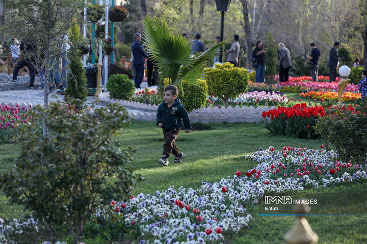 جشنواره گل‌های لاله اراک