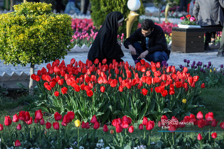 جشنواره گل‌های لاله اراک