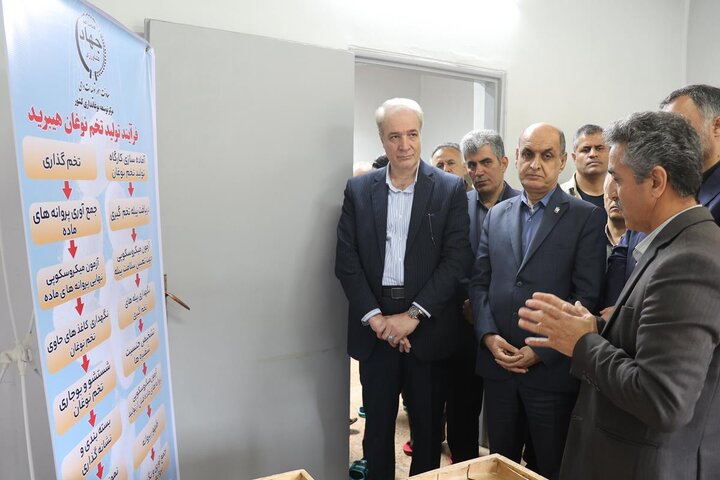 گیلان پیشتاز صنعت نوغانداری در کشور است