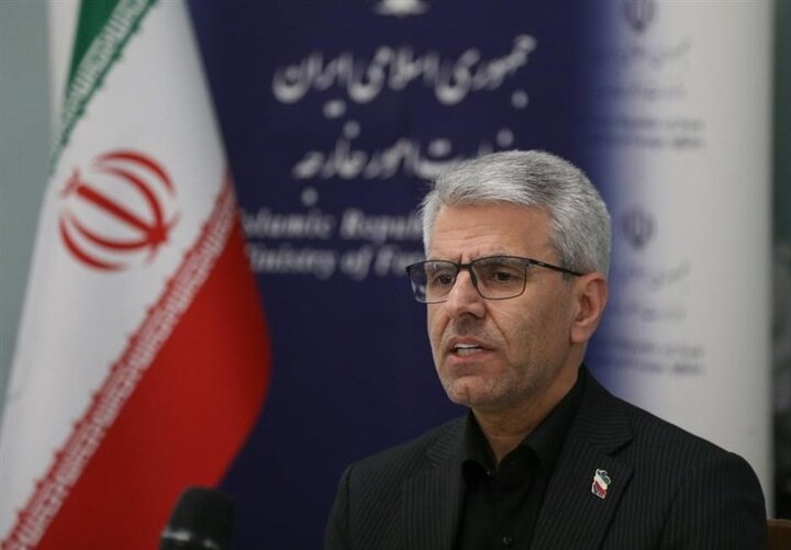 بقائی: آمریکا و اسرائیل را بهدلیل ترور مقامات کشورمان پاسخگو میکنیم