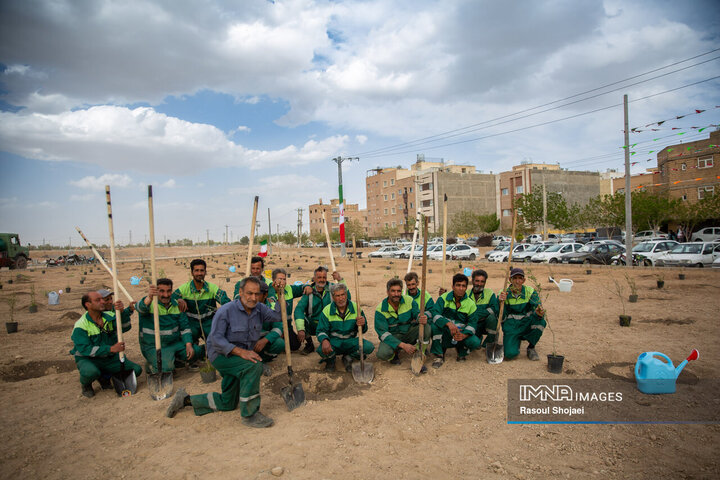 کاشت نهال امید