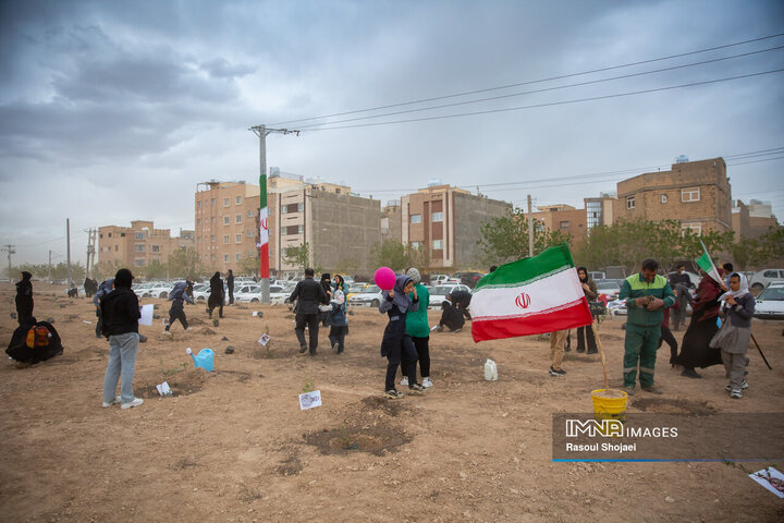 کاشت نهال امید