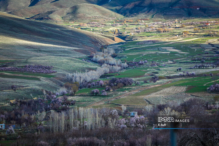 طبیعت بهاری شازند